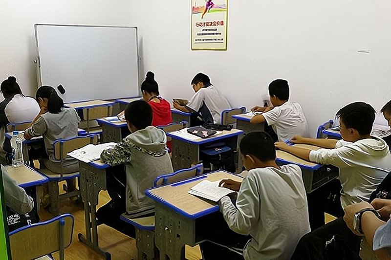中小学辅导:开启未来之门的钥匙